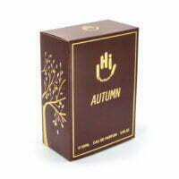 Hi Perfume Autumn Eau De Parfum For Men & Women 100ml